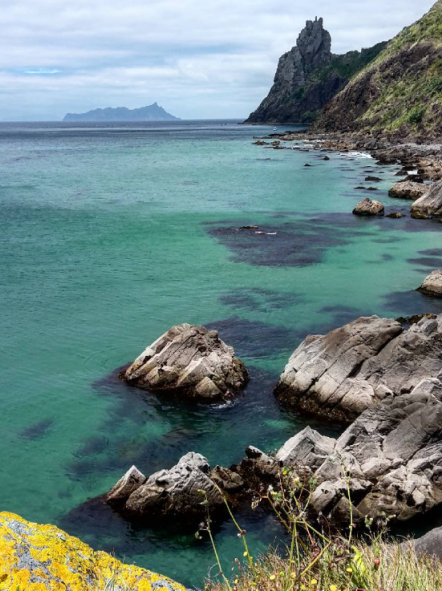 Lamar Track (left), Peach Cove Hut (right)